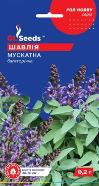 Насіння Шавлія мускатна, 0.2 г, ТМ GL Seeds