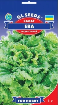 Семена Салата кочанного Ева, 1 г, ТМ GL Seeds