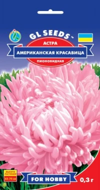 Насіння Астра Американська красуня, 0.3 г, ТМ GL Seeds