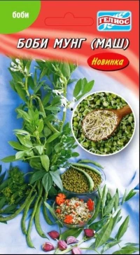 Насіння Бобів Мунг (Маш), 100 шт, ТМ Гелиос