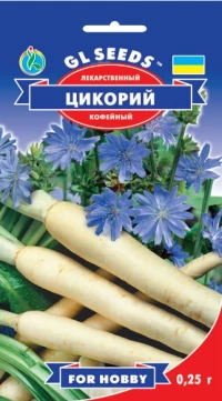 Насіння Цикорій лікарський Кавовий, 0.25 г, ТМ GL Seeds, НОВИНКА