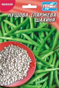 Насіння Квасолі Шахиня, 20 г, ТМ Геліос