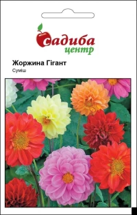 Насіння Жоржина Гігант суміш, 0,1 г, Hem Zaden, Голландія, ТМ Садиба Центр