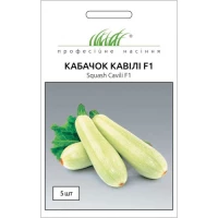Насіння Кабачка Кавілі F1, 5 шт, ТМ Професійне насіння, Nunhems Zaden, Нідерланди