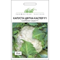 Насіння Капусти Каспер F1, 20 шт, Rijk Zwaan, Голландія, ТМ Професійне насіння