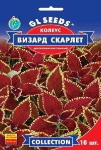 Семена Колеус Визард Скарлетт, 10 шт, TM GL Seeds