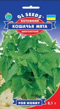 Семена Котовник Кошачья мята, 0.1 г, ТМ GL Seeds