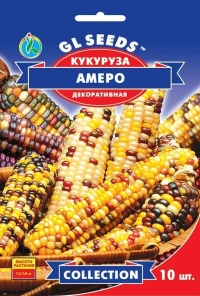 Насіння Кукурудзи Амеро, 10 шт., TM GL Seeds, НОВИНКА