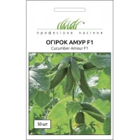 Насіння Огірка Амур F1, 50 шт, Bejo, Голландія, ТМ Професійне насіння