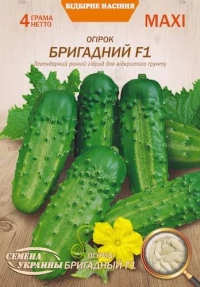 Насіння Огірка Бригадний F1, 4 г, ТМ Семена Украины