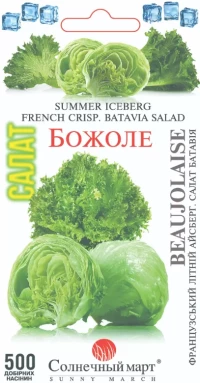 Насіння Салату Божоле, 500 шт, ТМ Солнечный Март