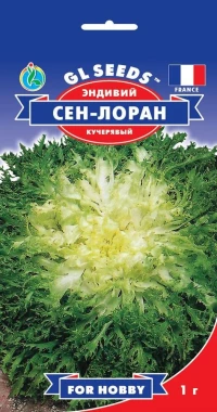 Насіння Салату Ендівій Сен-Лоран, 1 г, TM GL Seeds