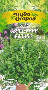 Насіння Туласі Священний базилік, 0.1 г, ТМ Семена Украины