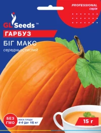 Семена Тыквы Биг Макс, 15 г, TM GL Seeds