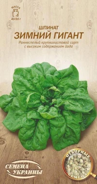 Насіння Шпинату Зимовий гігант, 2 г, ТМ Семена Украины