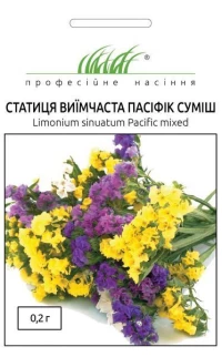 Насіння Статиця виїмчаста Пасифік, 0.2 г, Hem, Голландія, ТМ Професійне насіння