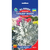 Семена Цинерария Сильвер Фоллс, 0.1 г, ТМ GL Seeds