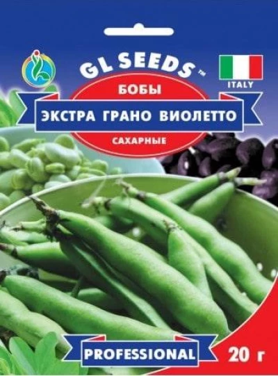 Насіння Бобів Екстра Грано Віолето, 20 г, ТМ GL Seeds