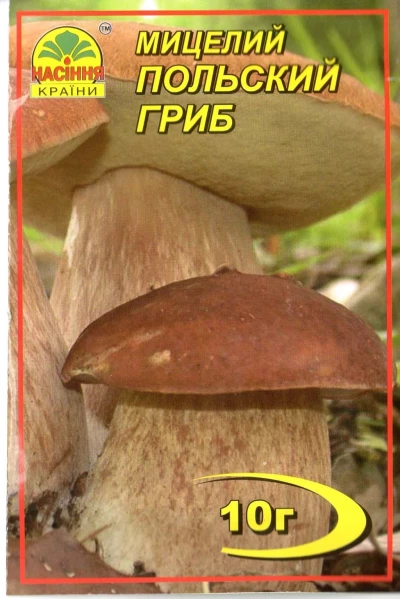 Міцелій Польський гриб, 10 г