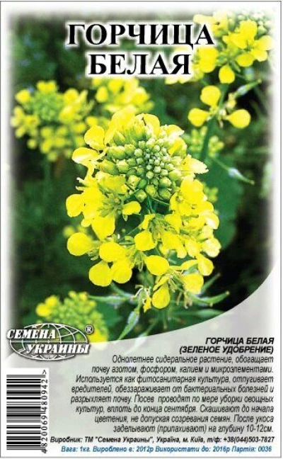 Насіння Гірчиця біла, 1 кг, ТМ Семена Украины