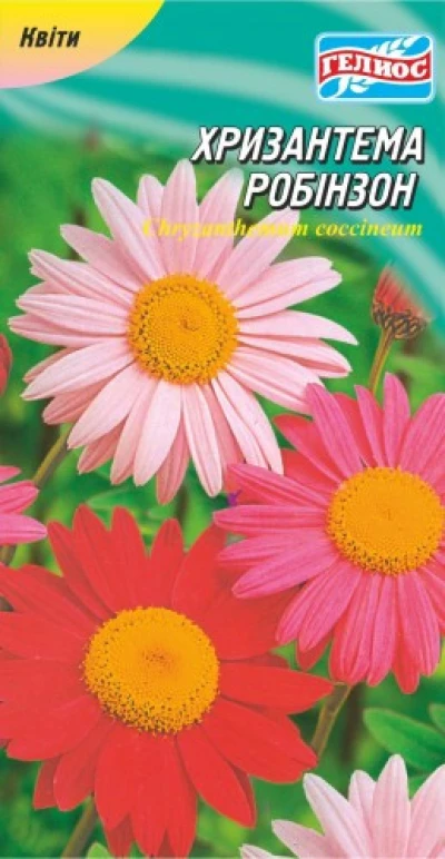 Насіння Хризантема Робінзон рожева, 0,1 г