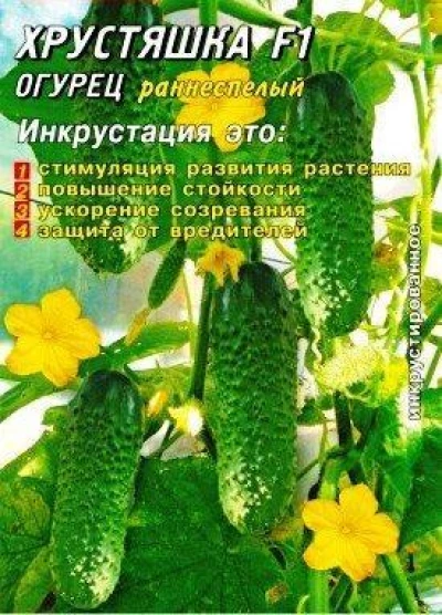 Насіння Огірка Хрустяшка F1, 25 шт., Інкрустовані насіння, ТМ Гелиос
