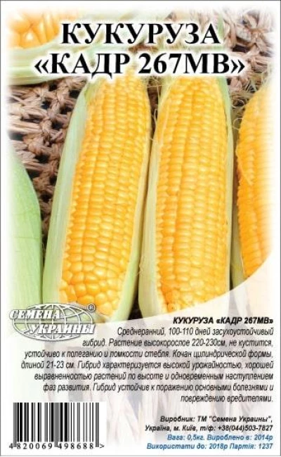 Насіння Кукурудзи корм. Кадр 267МВ, 1 кг, ТМ Семена Украины