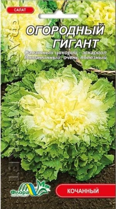Насіння салату городній гігант, 0.3 г, ТМ ФлораМаркет