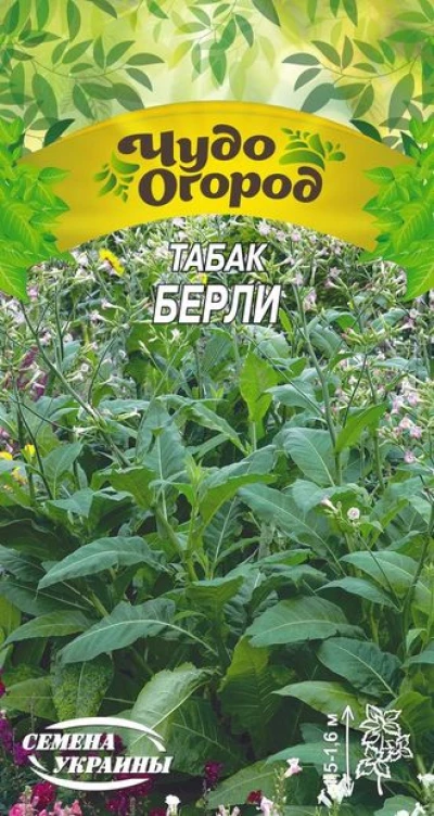 Насіння Тютюну для паління Берлі, 0,1 г, ТМ Семена Украины